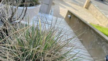 la Margaret Face mer - Foto 4