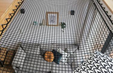 Domki Pod Lasem - Domek Brzozowy - Foto 7