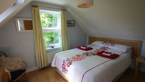 The Tree House - Foto 2