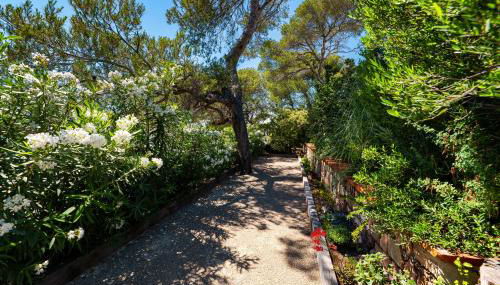 Villa Catleya Appart Hôtel - Foto 4, Garden