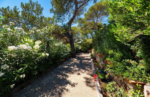 Villa Catleya Appart Hôtel - Foto 4