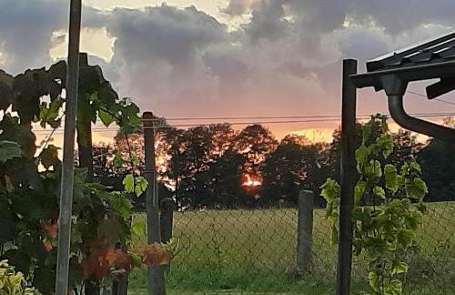 Ferienwohnung im grünen Muldental - Foto 23