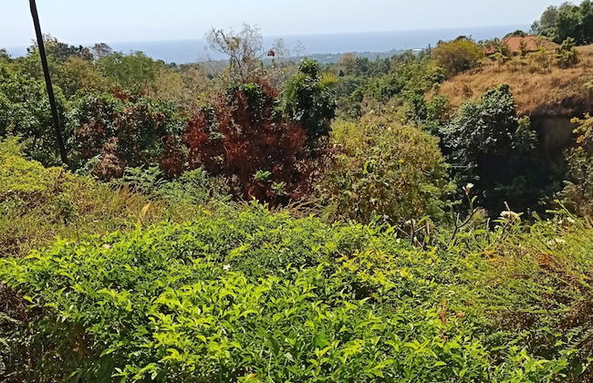 Vila Bukit Sari - Foto 33