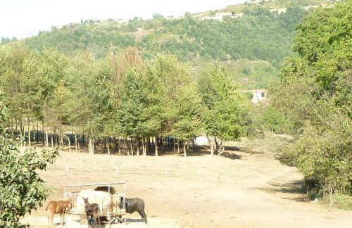 Il Grappolo In Langa - Foto 7