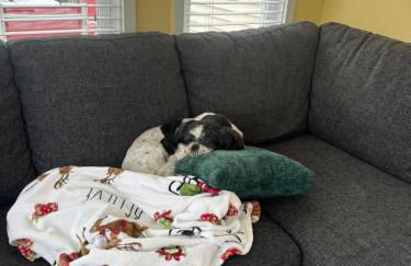 Lake Area 6BR Pet friendly home in Poconos - Your Pocono Retreat - Foto 12