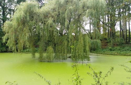 Ferienwohnung-Treeneblick - Foto 34