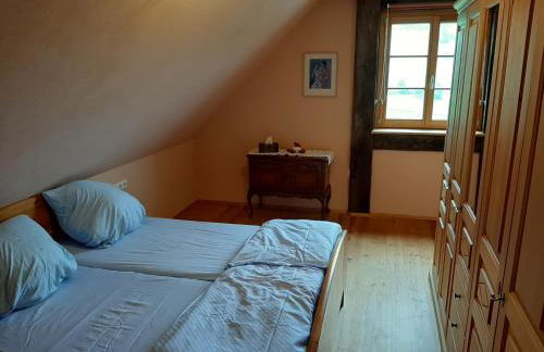 Schwarzwaldblick - Foto 12