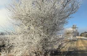 Ferienwohnung Bleicherode - Foto 38