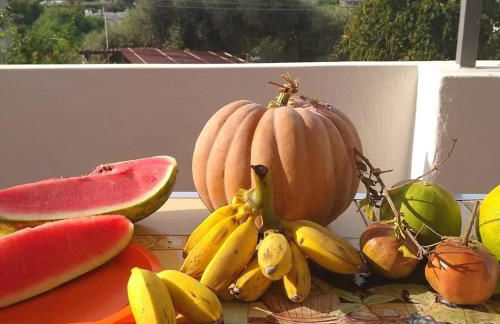 Residence Limoneto Ischia - Foto 53