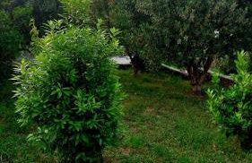 Apartment Tina - Foto 9