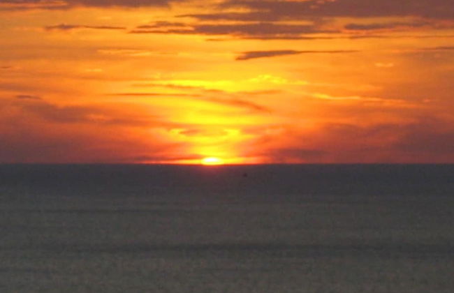 Freedom Estate - Photo 63