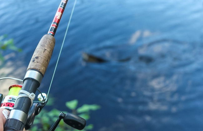 Virsuniemi - Foto 10