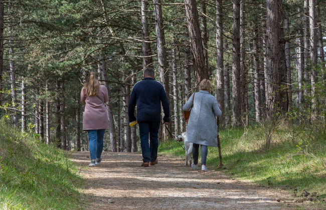 Holiday Home in Renesse Near the Beach - Photo 23
