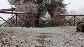 A casa di Olly - Foto 5