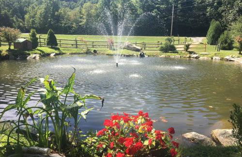 Barn Vibes + Petting Zoo + Hot Tub! - Foto 22