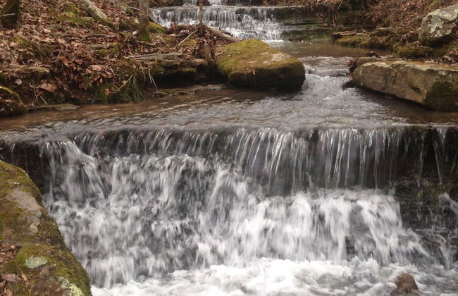 Hickory Hill Cabin Rentals - Foto 27