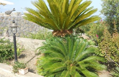 Case Vacanze Margherita - Foto 29