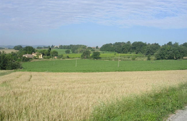 Agriturismo Il Borghetto - Photo 46