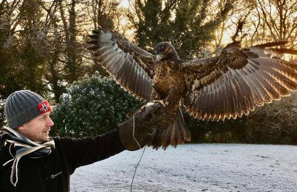 Bird House - Sleep with the Owls! - Foto 17