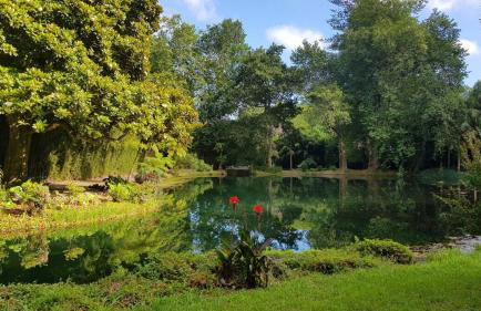 Canto`s Green Garden, Apartamentos Turísticos & SPA, 4 Estrelas - Photo 30