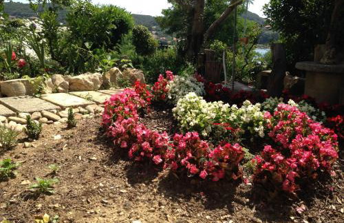 Apartments Anica - Foto 36