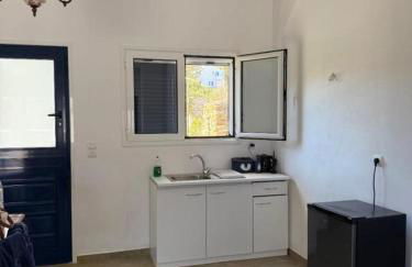 Tinos Kalloni - Foto 7