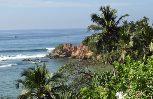 Kenno's Korner - Photo 79