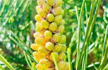 Ferienhaus Fuxbau - Foto 31