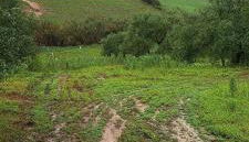 Villa Paquita - Foto 4