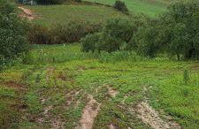 Villa Paquita - Foto 4