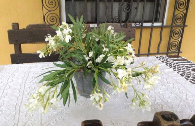 Casa rural LO SOTO - Foto 21