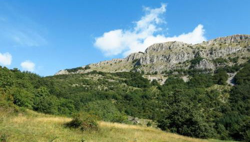 Holiday Home Al Faggio - GLL120 by Interhome - Foto 5