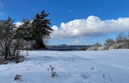 Holzhaus Devils Corner - Foto 33