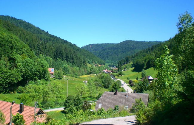 Hideaway Near Black Forest - Foto 37