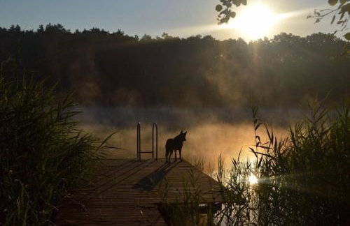Scandinavian house overlooking the lake - Foto 41