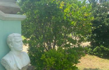 Verde Mare Isola - Foto 9