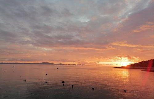 Apartman Marta - Foto 29