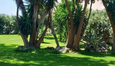 Blu Vacanze Apartments - Foto 1, Garden view