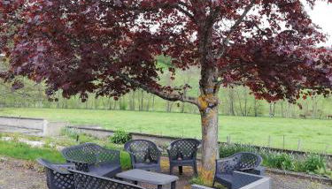 Grand gite 14 personnes ,cour ,salle de jeux, proche du village , commerces - Foto 2