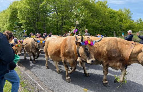 Maison de campagne - Foto 10