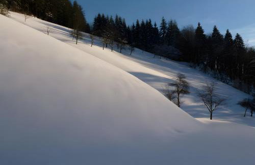 Holderstanzenhof - Foto 25