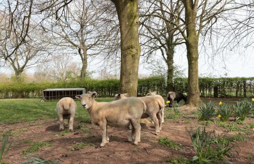 The Granary - Foto 34