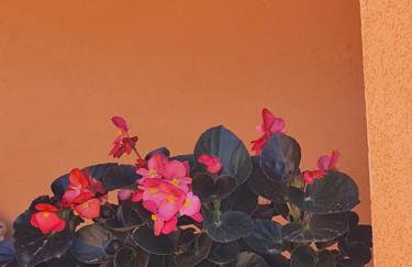 Studio Apartman D&D - Foto 20