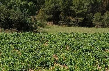 Maison Magnolia - Foto 43