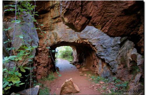 Finca rural Labriega del hueznar - Photo 59