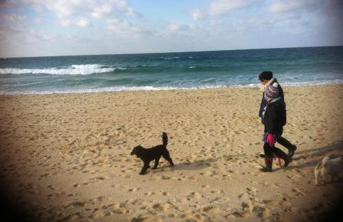 The Little Barn - Near St Ives Beaches & Walks, Dog Friendly - Foto 38