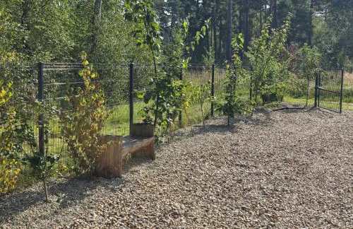 Daglezji 170 - Foto 42