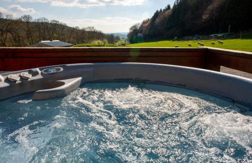 Bothy Cabin -Log cabin in wales - with hot tub - Foto 10