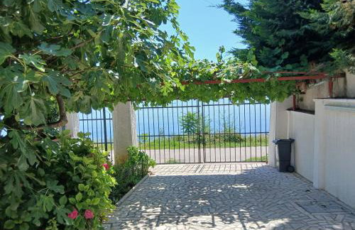 Apartments Smokva - Photo 28