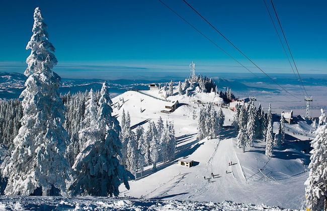 Alpin Aparthotel 2302 - Foto 24